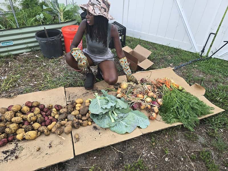 A fall harvest spread out from the GrowFitFL backyard